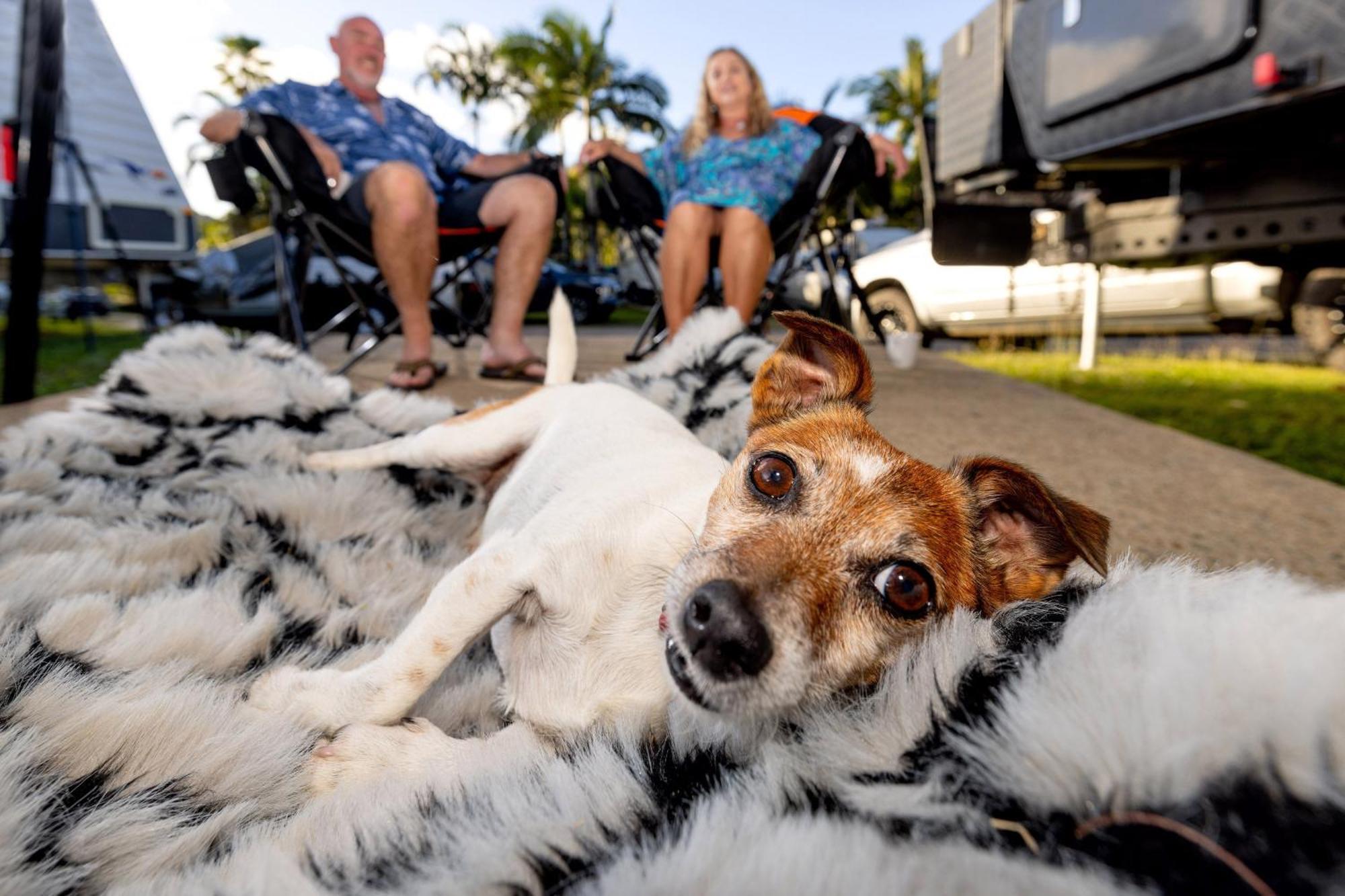 Big4 Whitsundays Tropical Eco Resort エアリービーチ エクステリア 写真