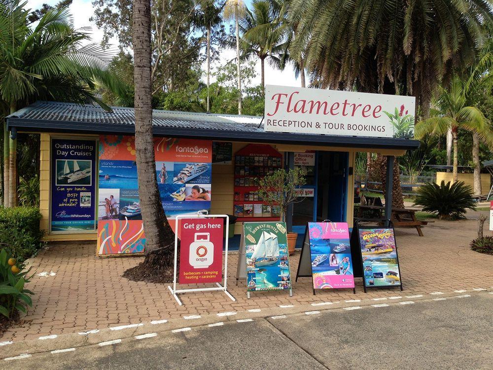Big4 Whitsundays Tropical Eco Resort エアリービーチ エクステリア 写真